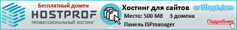 Профессиональный хостинг для сайтов и чатов
